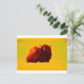 Sitting Bison Postkarte (Stehend Vorderseite)