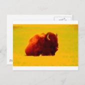 Sitting Bison Postkarte (Vorne/Hinten)