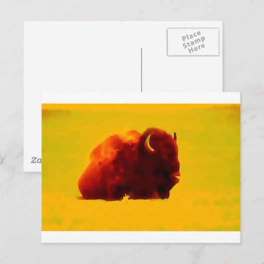 Sitting Bison Postkarte (Vorne/Hinten)