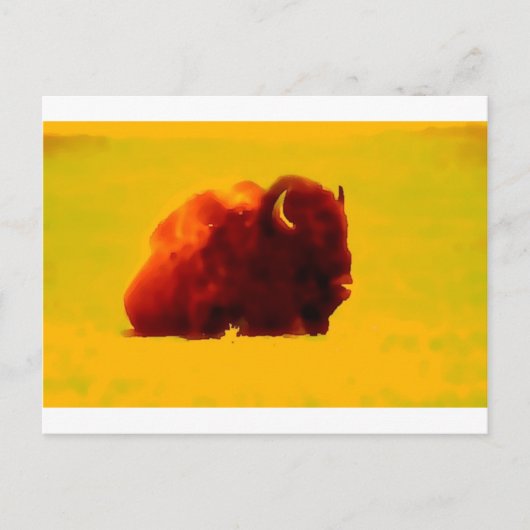 Sitting Bison Postkarte (Vorderseite)