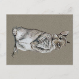 Sitting Bunny Rabbit Art Postcard Postkarte