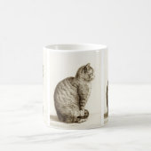 Sitting cat vintage sepia pencil drawing kaffeetasse (Mittel)