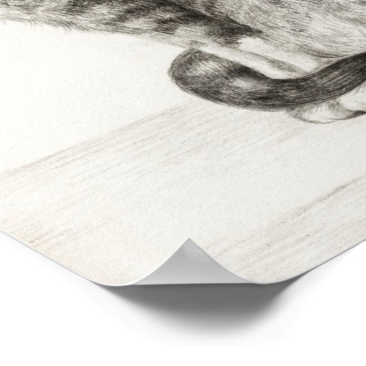 "Sitting Cat" von Jean Bernard Poster (Ecke)