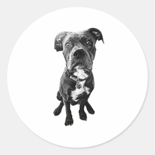 Sitting Dog Sticker – Realistic Black & White Pose (Vorderseite)