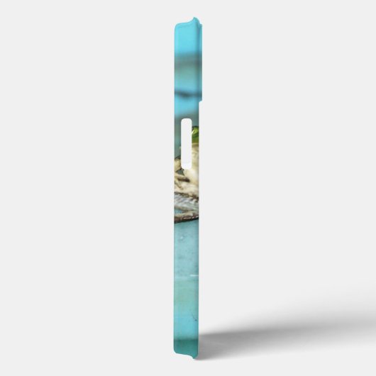 Sitting Frogs Case-Mate iPhone Hülle (Rückseite / Rechts)