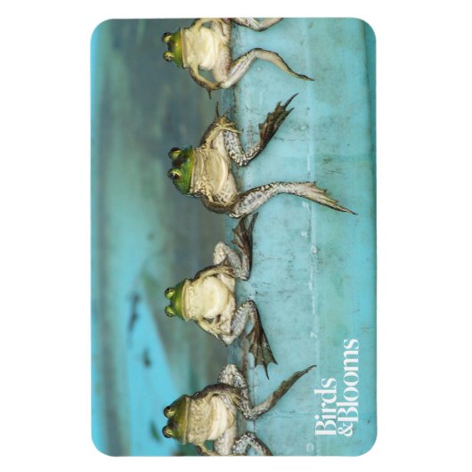 Sitting Frogs Magnet (Vertikal)