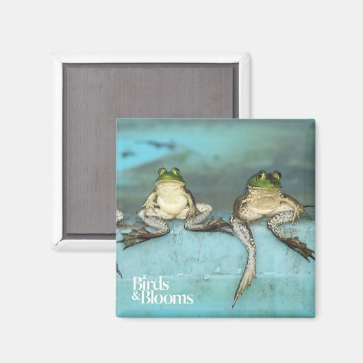 Sitting Frogs Magnet (Vorderseite/Rückseite)