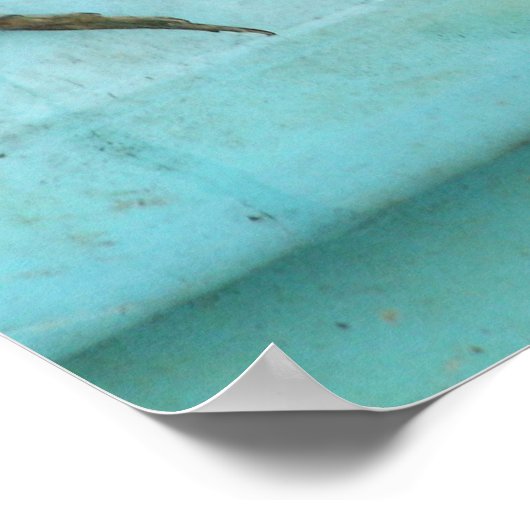 Sitting Frogs Poster (Ecke)