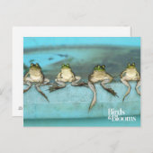 Sitting Frogs Postkarte (Vorne/Hinten)