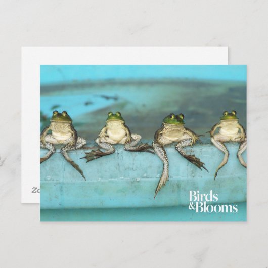 Sitting Frogs Postkarte (Vorne/Hinten)
