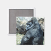 Sitting Gorilla Magnet (Vorderseite/Rückseite)
