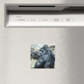 Sitting Gorilla Magnet (In Situ (Geschirrspüler))