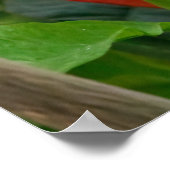 Sitting Still Poster (Ecke)