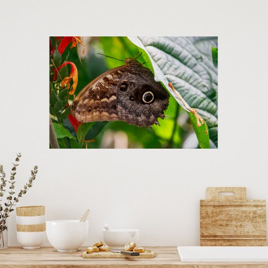 Sitting Still Poster (Küche)