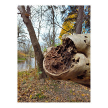 Situation von Niedergang und Leben