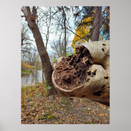 Situation von Niedergang und Leben Poster