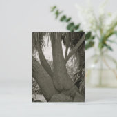 Sitzbaum Postkarte (Stehend Vorderseite)