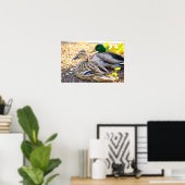 Sitze Enten - Poster (Heimbüro)