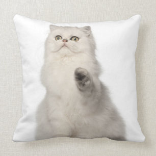 Sitzen der persischen Katze Kissen
