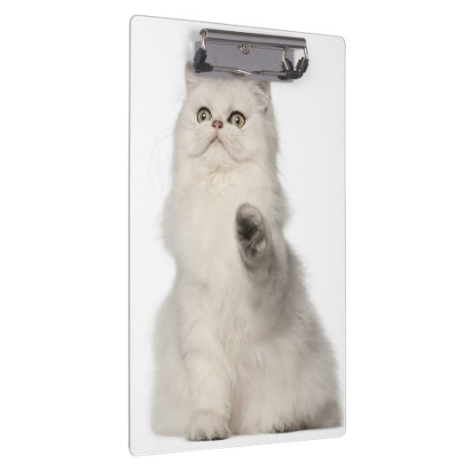 Sitzen der persischen Katze Klemmbrett (Rechts)