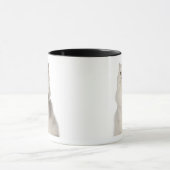 Sitzen der persischen Katze Tasse (Zentrum)