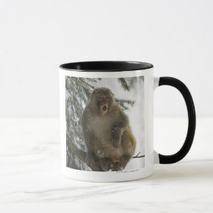 Sitzen des RhesusfaktorMacaqueaffen (Macaca Tasse
