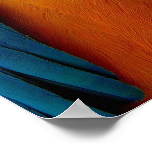 Sitzen für Sie Poster (Ecke)