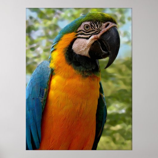 Sitzen für Sie Poster (Vorne)