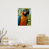 Sitzen für Sie Poster (Küche)