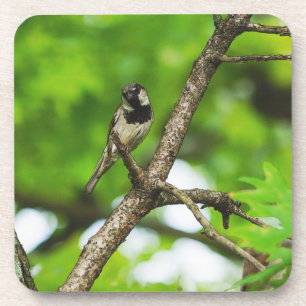 Sitzen Getränkeuntersetzer