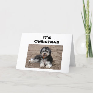 SITZEN HIER DENKEN SIE AN CHRISTMAS KARTE