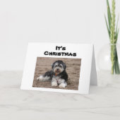 SITZEN HIER DENKEN SIE AN CHRISTMAS KARTE (Vorderseite)