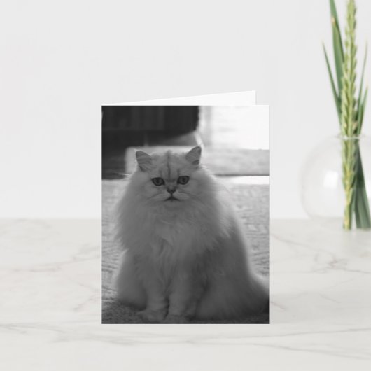 Sitzen hübsch karte (Vorderseite)