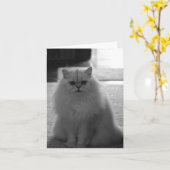 Sitzen hübsch karte (Gelbe Blume)