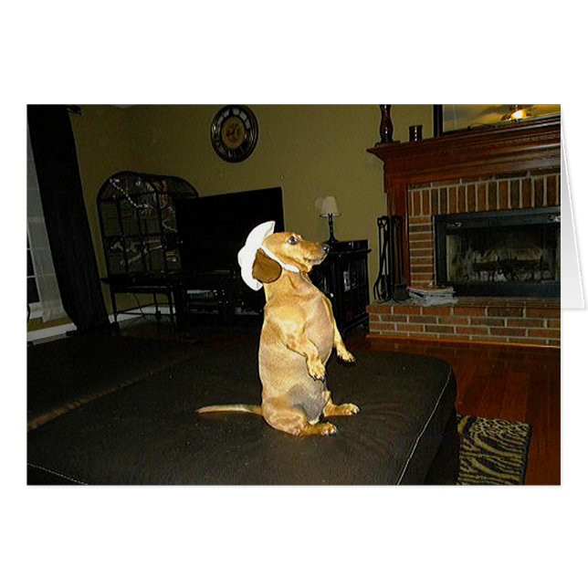 Sitzen Hübsch oder TV-Dackel ansehen (Vorderseite (Horizontal))