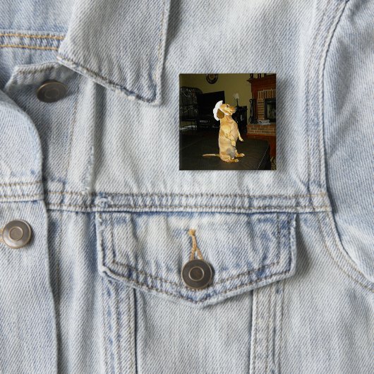 Sitzen Hübsch oder TV-Dackel ansehen Button (Beispiel)