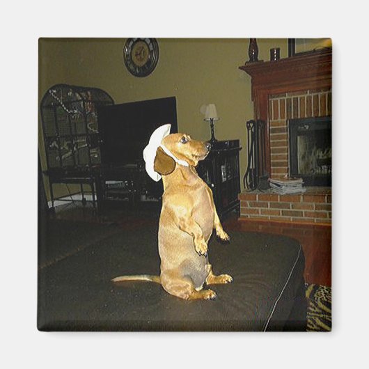 Sitzen Hübsch oder TV-Dackel ansehen Magnet (Vorne)