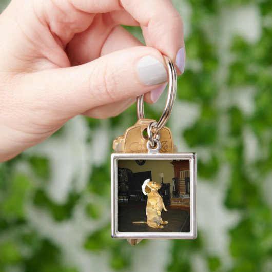 Sitzen Hübsch oder TV-Dackel ansehen Schlüsselanhänger (Hand)