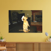 Sitzen Hübsch oder TV-Dackel-Leinwand Leinwanddruck (Insitu (Wohnzimmer))