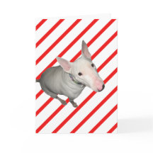 Sitzen Hübsch/rot und weiße Streifen Weihnachtskar