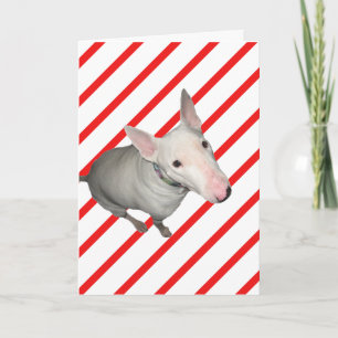 Sitzen Hübsch/rot und weiße Streifen Weihnachtskar Feiertagskarte