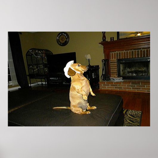 Sitzen Hübsche Dackel Gerahmtes Poster (Vorne)