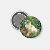 Sitzen Hübsche Katze Magnet (Vorderseite/Rückseite)