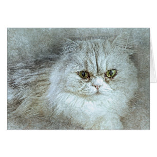 Sitzen Hübsche Kitty ABSTRAKT Wasserfarbe