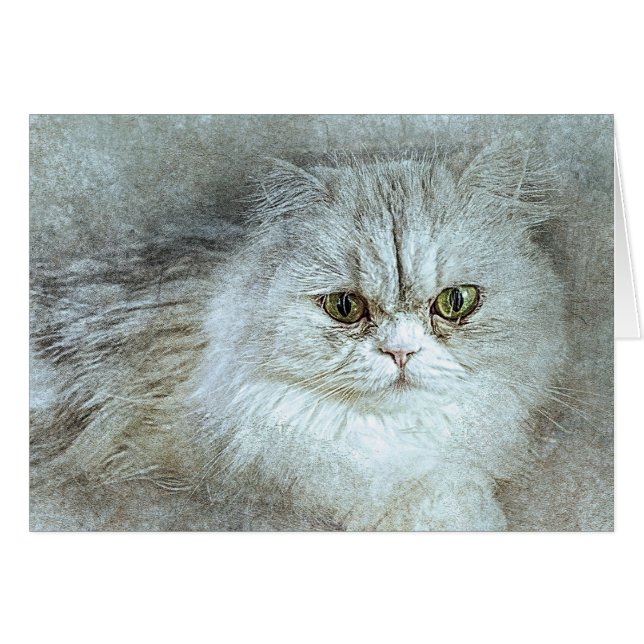 Sitzen Hübsche Kitty | ABSTRAKT | Wasserfarbe (Vorderseite (Horizontal))