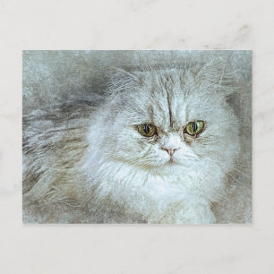 Sitzen Hübsche Kitty ABSTRAKT Wasserfarbe Postkarte