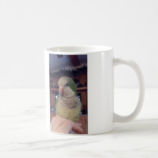 Sitzen Hübsche Quaker-Parrot-Tasse Kaffeetasse (Rechts)
