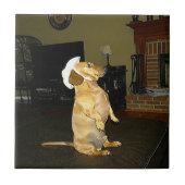 Sitzen Hübscher Dackel Fliese (Vorderseite)