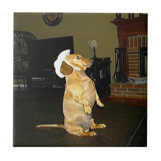 Sitzen Hübscher Dackel Fliese (Vorderseite)