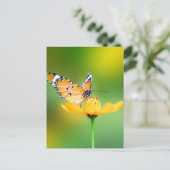 Sitzen Hübscher kleiner Schmetterling auf einer Bl Postkarte (Stehend Vorderseite)